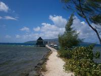 00404 Tahaa