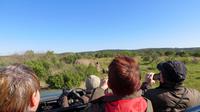 Safari im Kariega Wildreservat