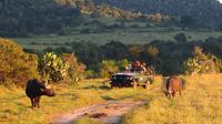 Safari im Kariega Wildreservat