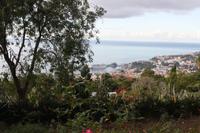 Blick auf den Hafen von Funchal