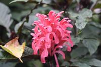 Botanischer Garten_25