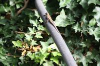 Botanischer Garten_57