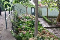 Botanischer Garten_60