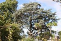 Garten der Familie Blandy_25