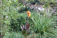 Garten der Familie Blandy_39