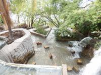 Wasserfälle, San Bernando Berg Salta