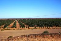 Unterwegs - Grüne Oase