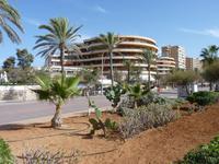 Hotel am Plaja de Palma