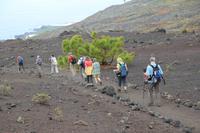 Wanderung vom Vulkan San Antonio zum Leuchtturm von Fuencaliente – La Palma