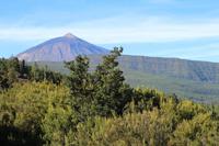 Im Teide-Nationalpark – Teneriffa