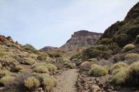 Wanderung an den Roques de García – Teneriffa