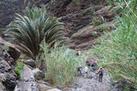 Wanderung in der Masca-Schlucht – Teneriffa