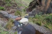 Wanderung von Afur nach Taganana – Teneriffa