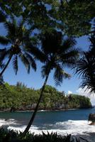 Hilo - Tropischer Botanischer Garten