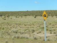 Viele Kilometer unbewohnte Steppe
