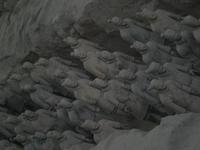 Krieger der Terakottaarmee