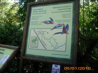 DSCI0257_Costa Rica - Carara Nationalpark