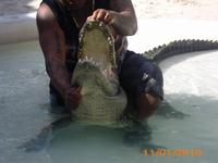 DSCI0340_Zähne zeigen