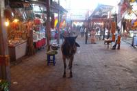 Prozessionsstraße Ramdeora