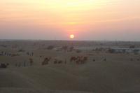 Sonnenuntergang in der Thar-Wüste
