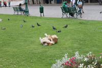 Cusco - Stadtrundgang