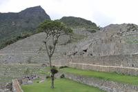 Machu Pichu - Peru