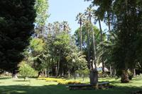 Vina del Mar & Valparaiso Stadtrundfahrt