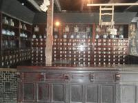 die Apotheke des Wasserdorfes