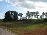 Besuch bei Bauernfamilie 