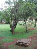 Finca 