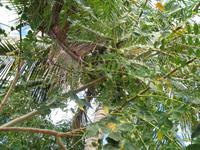 Aussichtspunkt mit der Bar 