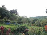 Mittagessen im Restaurant 