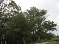 Casa Museo del Café im Guanayara Naturpark