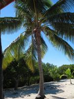 Mittagessen und Badeaufenthalt auf der Insel Cayo Blanco de Zaza