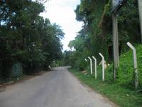 Oldtimerfahrt durch Havanna