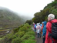 Wanderung durch den Märchenwald