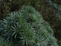 Wanderung durch den Märchenwald