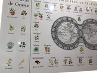 412Parfümfabrik Fragonard in Èze