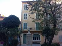810Pfefferbaum in Saint Tropez