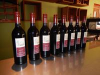 0170 Weinverkostung am Naute-Damm