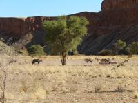 0407 Namib Desert Lodge