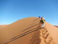 0469 Dünenwanderung auf Big Mama im Sossusvlei