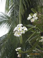 IMG_5289