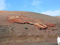 Flechten am Kraterrand