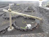 Weinbau auf Lanzarote