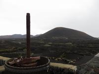 Weinbau auf Lanzarote