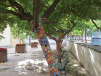 Baumschmuck in Santa Cruz