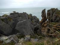 Pfannkuchenfelsen von Punakaiki - Rundreise Neuseeland - Südinsel