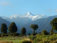 Fox Gletscher - Rundeise Neuseeland
