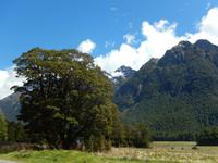 Rundeise Neuseeland - Südinsel